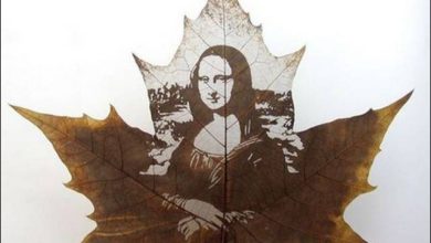 Desenhos sobre folhas de bordo (19 fotos) 25