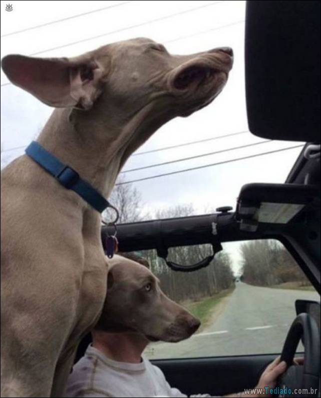 ilusoes-de-otica-legais-17