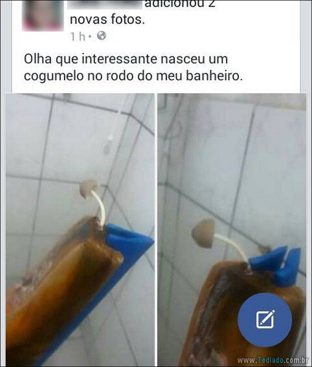 brasil-facebook-foram-feito-um-para-outro-02