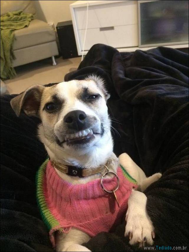 coisas-que-pessoas-nao-gosta-21