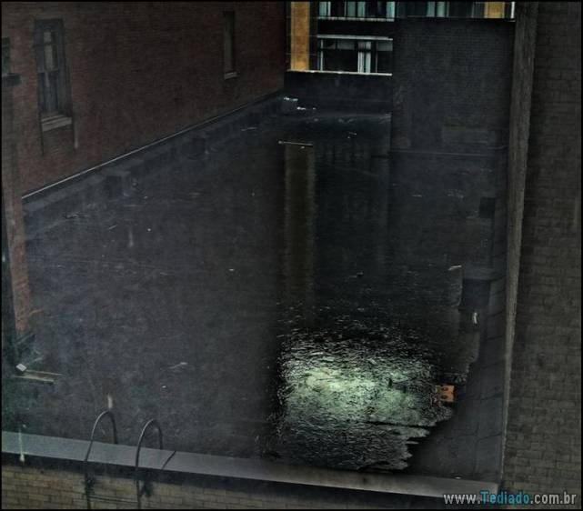 incrivens-fotos-sem-photoshop-02