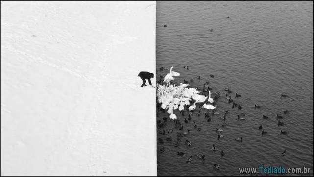 incrivens-fotos-sem-photoshop-03