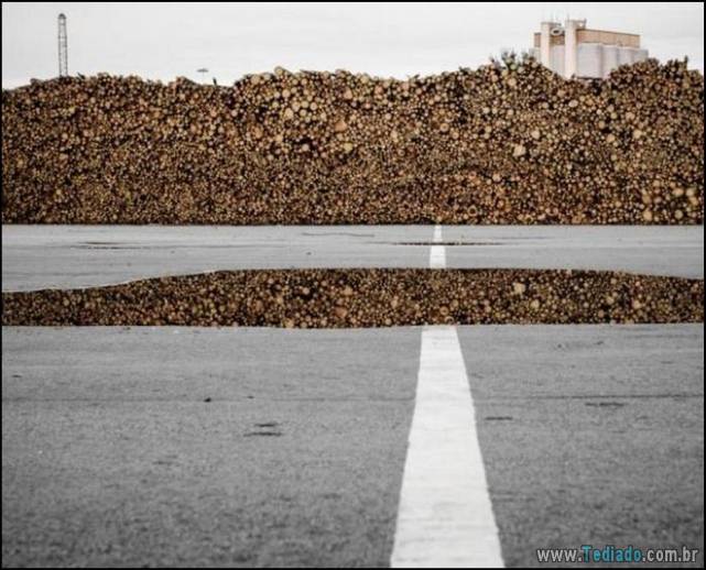 incrivens-fotos-sem-photoshop-07