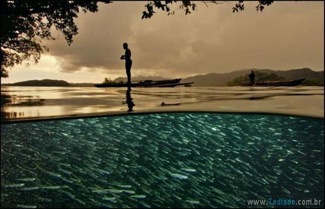 incrivens-fotos-sem-photoshop-11