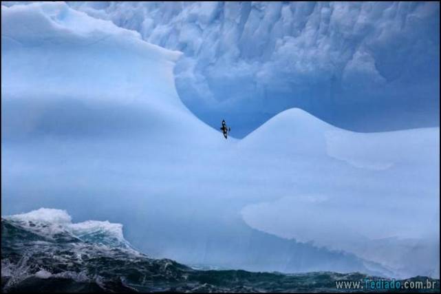 incrivens-fotos-sem-photoshop-12