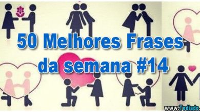 50 Melhores Frases da semana #14 4