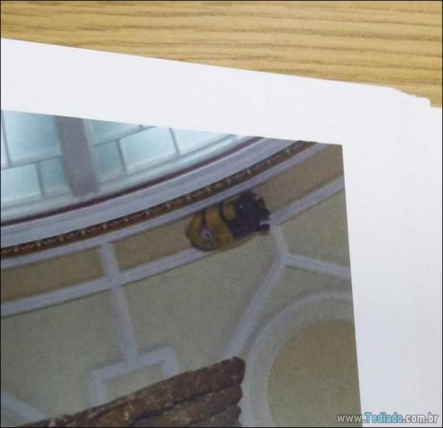 minions-que-ganharam-destinos-16