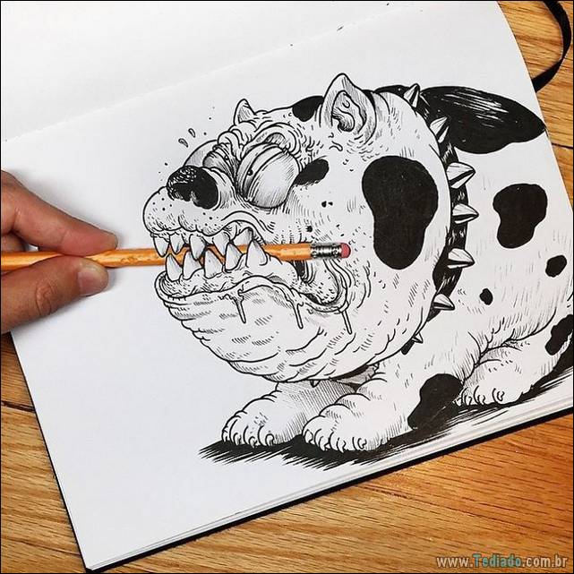 novo-projeto-de-alex-solis-04