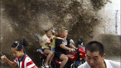 27 imagens por um segundo antes 6