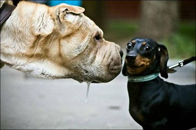 por-um-segundo-antes-19