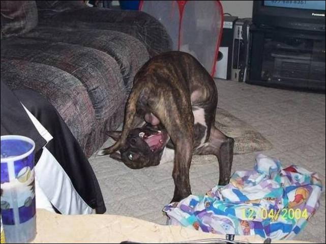 por-um-segundo-antes-20