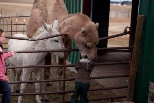 por-um-segundo-antes-22