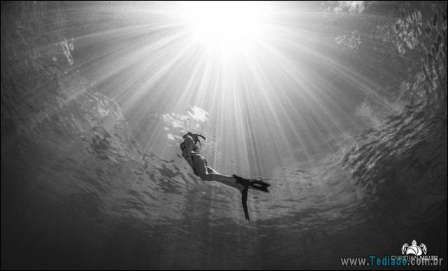 belas-fotografias-subaquaticas-01