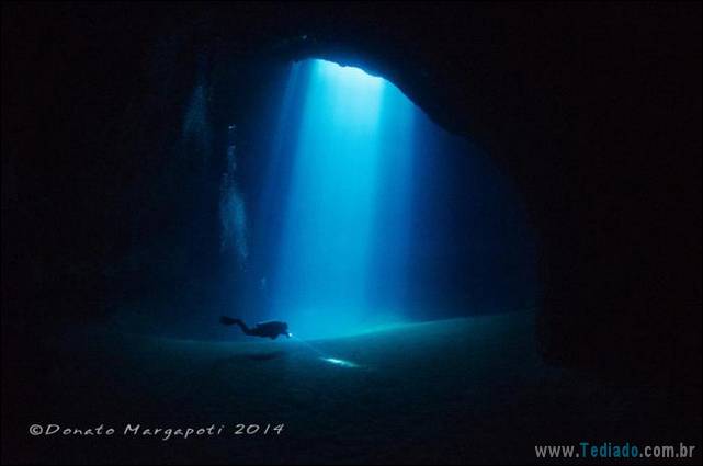 belas-fotografias-subaquaticas-12