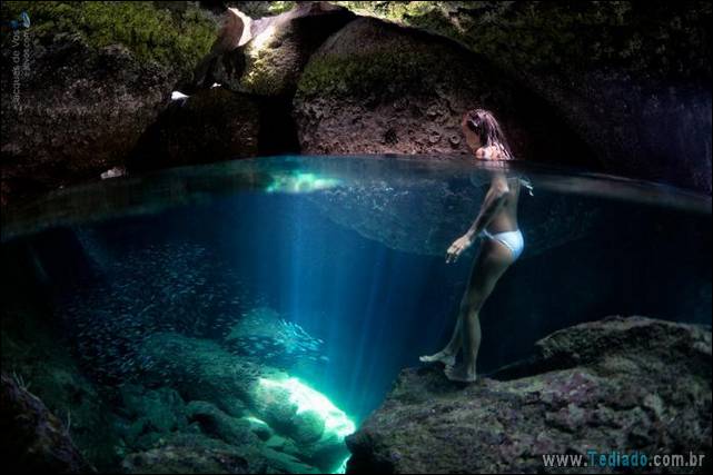 belas-fotografias-subaquaticas-15