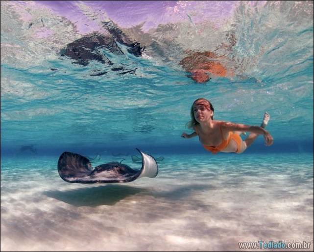 belas-fotografias-subaquaticas-32
