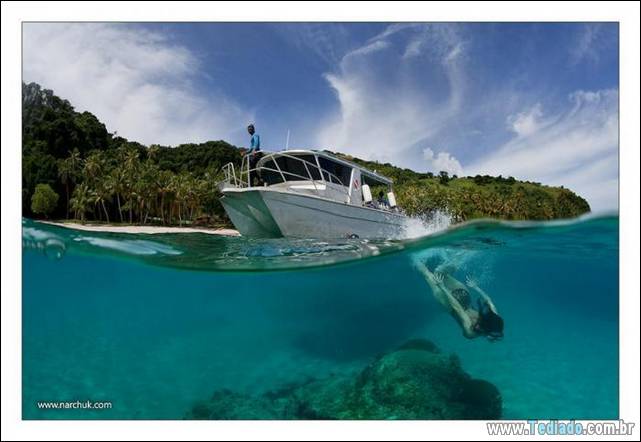 belas-fotografias-subaquaticas-40