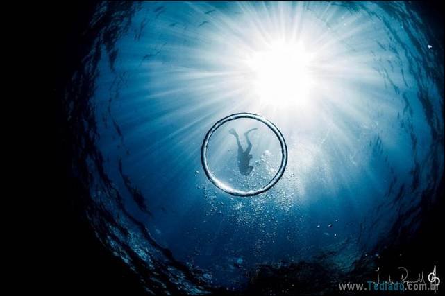 belas-fotografias-subaquaticas-45