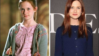11 atores do Harry Potter - Antes e Agora 65
