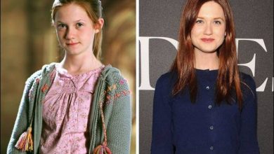 11 atores do Harry Potter - Antes e Agora 6