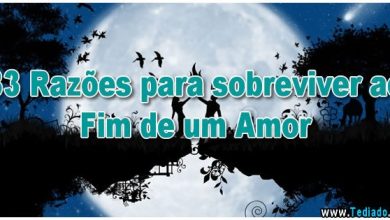 33 Razões para sobreviver ao Fim de um Amor 9