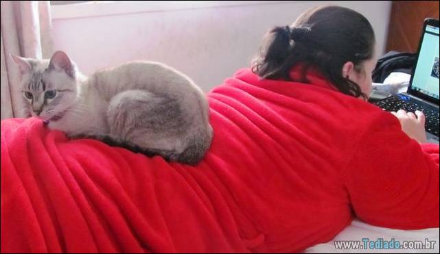 a-incrivel-logica-dos-gatos-32