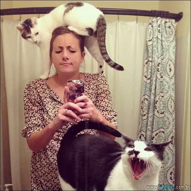 37 Gatos que não se preocupam com o seu espaço pessoal 9 gato-e-seus-espacos-09