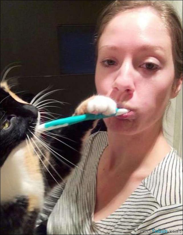 37 Gatos que não se preocupam com o seu espaço pessoal 11 gato-e-seus-espacos-11