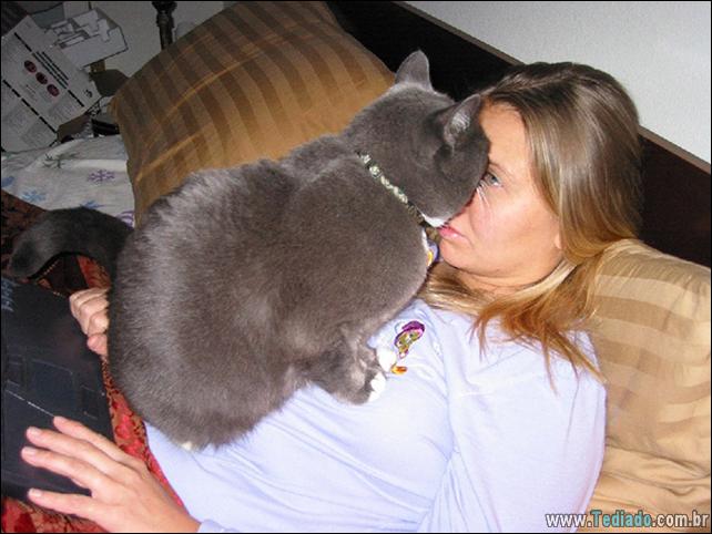 37 Gatos que não se preocupam com o seu espaço pessoal 13 gato-e-seus-espacos-13