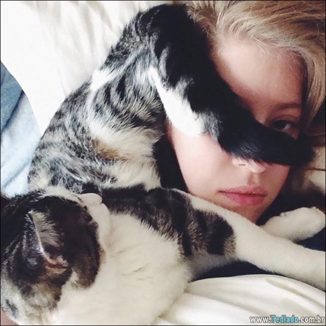 37 Gatos que não se preocupam com o seu espaço pessoal 20 gato-e-seus-espacos-20