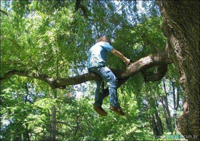 seguranca-sempre-em-primeiro-lugar-26