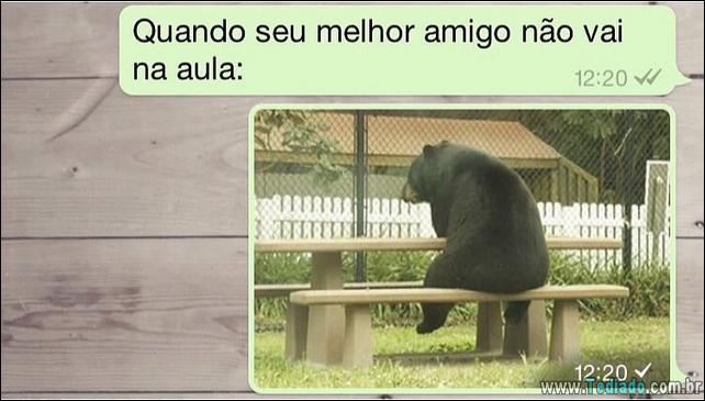 conversar-whatsapp-15