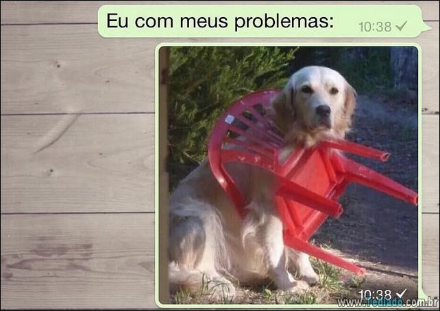 conversar-whatsapp-16