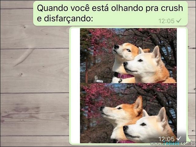 conversar-whatsapp-17