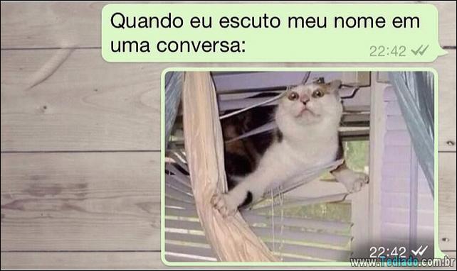 conversar-whatsapp-22