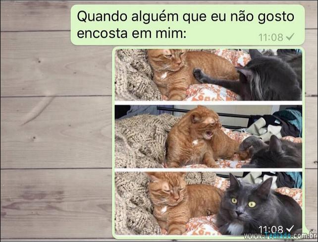 conversar-whatsapp-25
