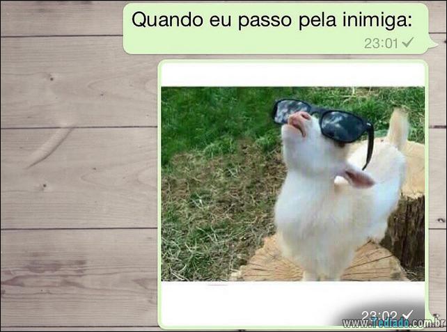 conversar-whatsapp-33