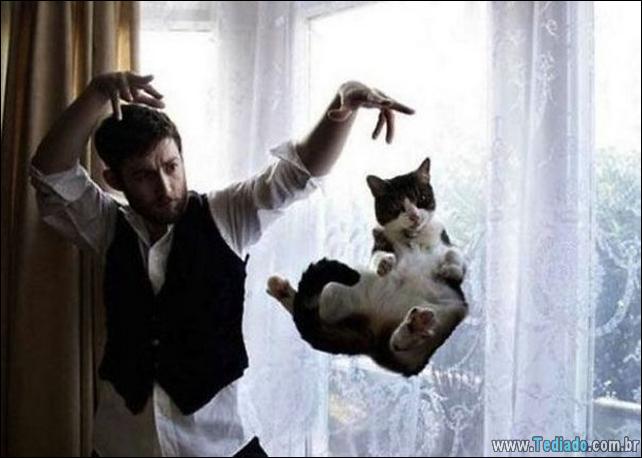 foto-de-gato-tirado-no-momento-certo-02