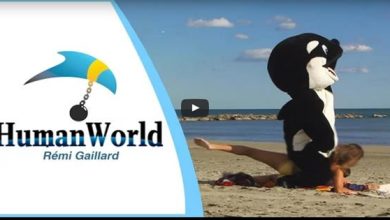 Pegadinha: Mundo Humano 8