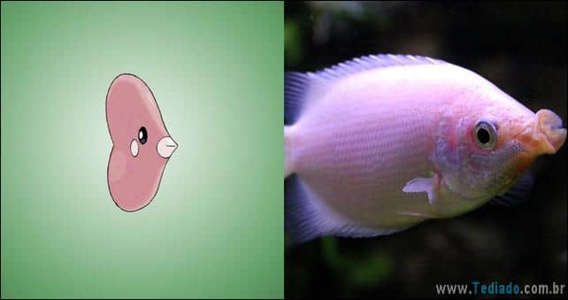 pokemon-na-vida-real-15