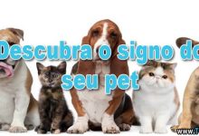 Descubra o signo do seu pet 9