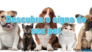 Descubra o signo do seu pet 8