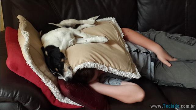 cachorros-que-nao-liga-para-seu-espaco-01