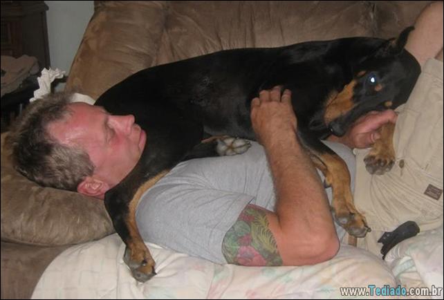 cachorros-que-nao-liga-para-seu-espaco-05