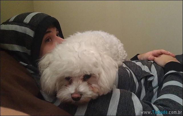 cachorros-que-nao-liga-para-seu-espaco-17