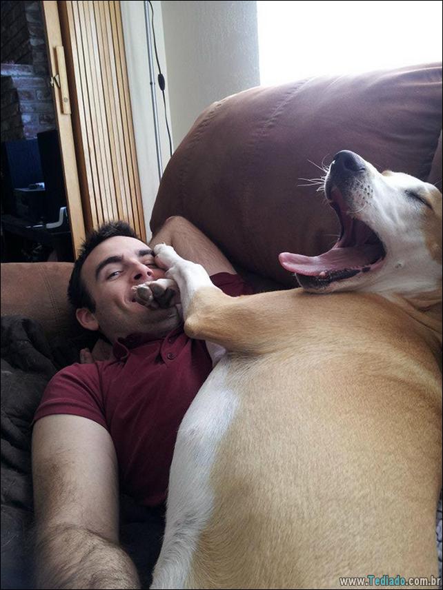 cachorros-que-nao-liga-para-seu-espaco-20