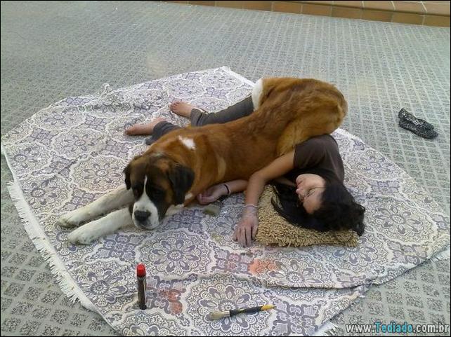 cachorros-que-nao-liga-para-seu-espaco-30