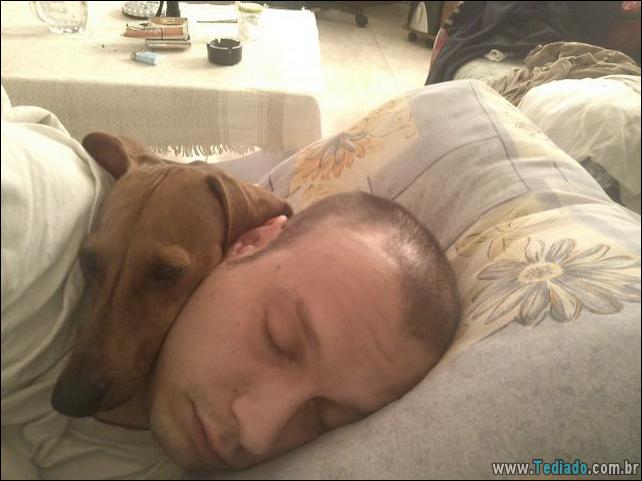 cachorros-que-nao-liga-para-seu-espaco-37