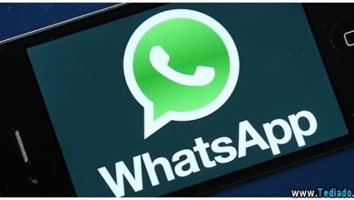 Contatos para adicionar no Whatsapp 27