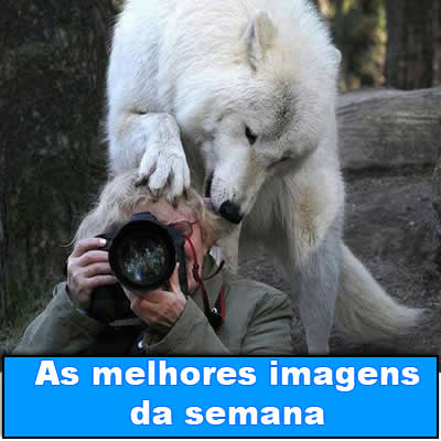 As melhores imagens da semana link-da-semana-03